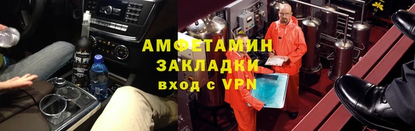 прущие грибы Богданович