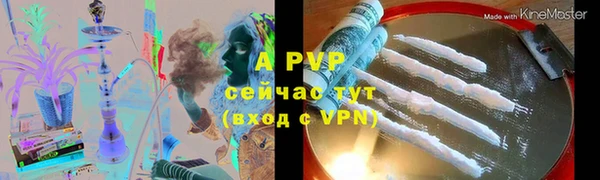 прущие грибы Богданович