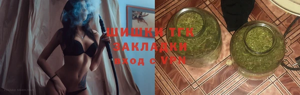 прущие грибы Богданович