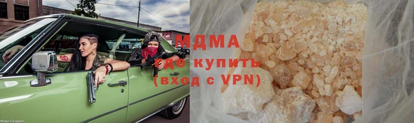 прущие грибы Богданович