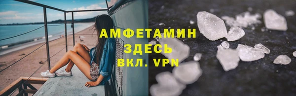 прущие грибы Богданович