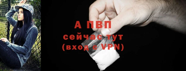 прущие грибы Богданович