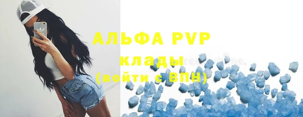 прущие грибы Богданович