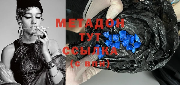 прущие грибы Богданович