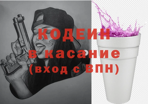 прущие грибы Богданович