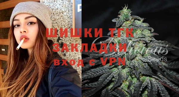прущие грибы Богданович