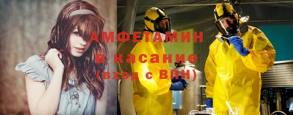 прущие грибы Богданович