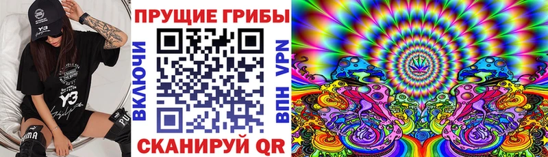 Псилоцибиновые грибы Magic Shrooms МЕГА маркетплейс Киржач